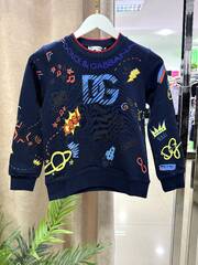 Свитшот Dolce&Gabbana арт. 0255_0826